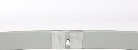 Задня ресора tes BK315560GD6519ZZ