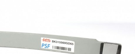 Задня ресора tes BK315560GD6519ZZ
