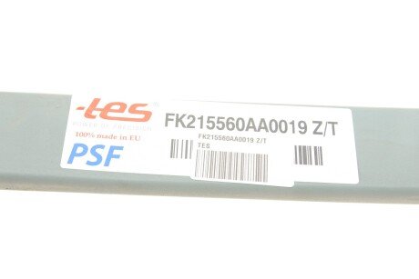 Задняя рессора tes FK215560AA0019ZT
