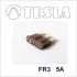 Запобіжник Tesla FR35A10 (фото 1)