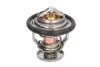 Термостат Thermotec D2AG018TT (фото 1)
