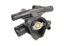 Термостат thermotec D2R017TT
