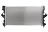 Радіатор Thermotec D7C017TT (фото 1)
