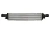 Інтеркулер Thermotec DAA032TT (фото 1)