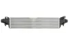 Радиатор интеркулера thermotec DAX038TT