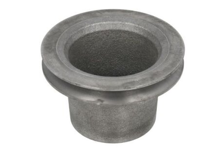 Шків водяної помпи thermotec WPPK106RK