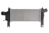 Інтеркулер Thermotec DA1001TT (фото 1)