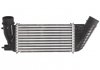 Интеркулер thermotec DAC006TT