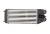 Інтеркулер thermotec DAP003TT