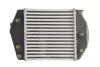Радіатор інтеркулера Thermotec DA3002TT (фото 2)