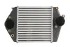 Радіатор інтеркулера Thermotec DA3002TT (фото 1)