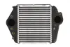 Радіатор інтеркулера Thermotec DA3004TT (фото 1)