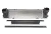 Радіатор інтеркулера Thermotec DAB013TT (фото 1)