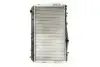 Радиатор охлаждения двигателя thermotec D70009TT