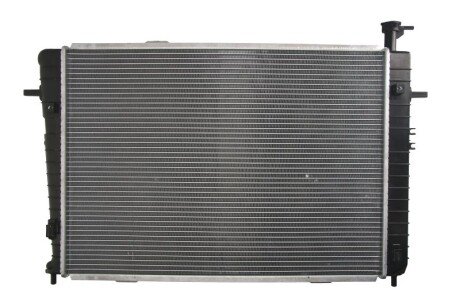 Радиатор охлаждения двигателя thermotec D70308TT