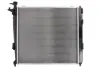 Радиатор охлаждения двигателя thermotec D70316TT
