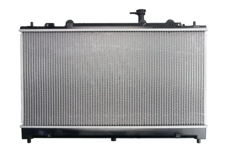 Радиатор охлаждения двигателя thermotec D73019TT