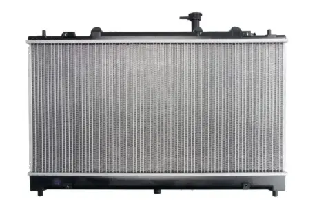 Радиатор охлаждения двигателя thermotec D73019TT