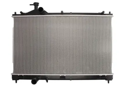 Радиатор охлаждения двигателя thermotec D75011TT