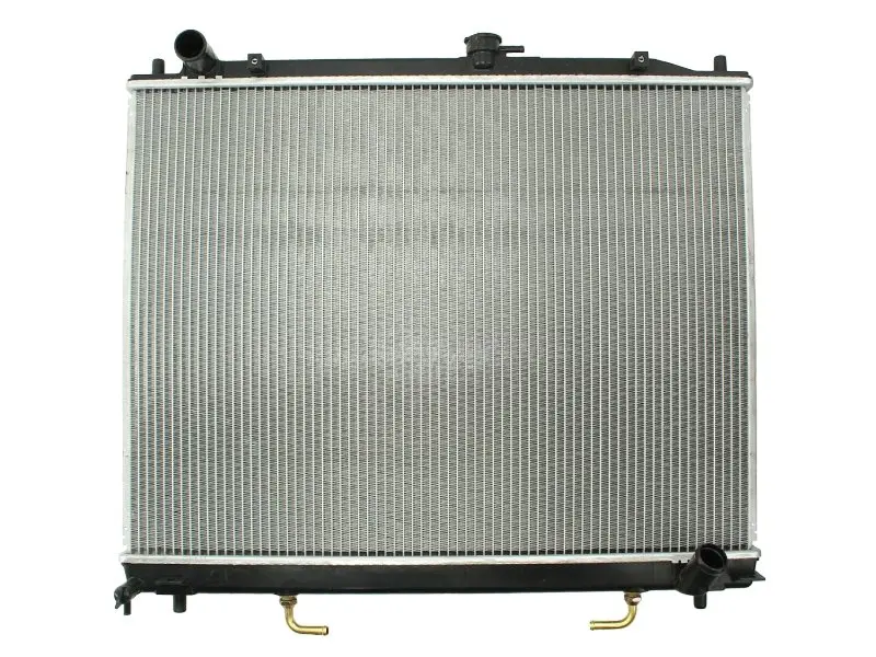 Радиатор охлаждения двигателя thermotec D75012TT
