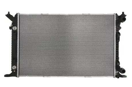 Радиатор охлаждения двигателя thermotec D7A025TT