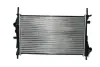 Радіатор охолодження двигуна Thermotec D7G017TT (фото 1)