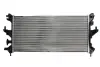 Радіатор охолодження двигуна Thermotec D7P062TT (фото 1)