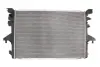 Радіатор охолодження двигуна Thermotec D7W069TT (фото 1)