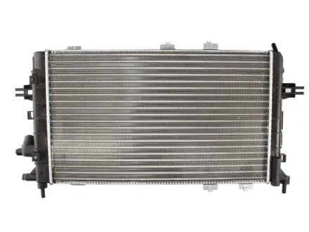 Радиатор охлаждения двигателя thermotec D7X025TT