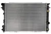 Радіатор охолодження двигуна Thermotec D7X033TT (фото 1)