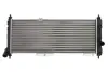 Радиатор охлаждения двигателя thermotec D7X051TT