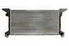 Радіатор Thermotec D7G013TT (фото 1)