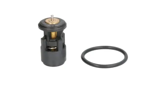 Термостат Thermotec D2A005TT