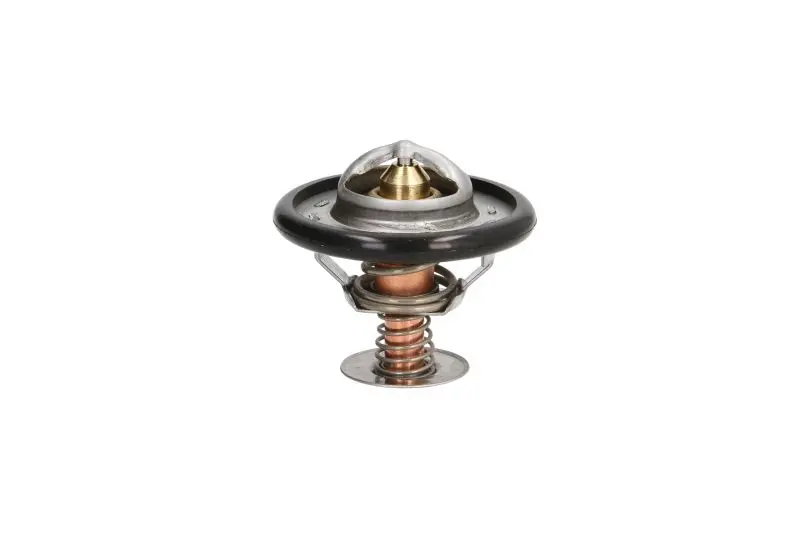 Термостат Thermotec D2C002TT (фото 1)