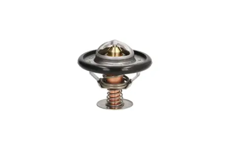 Термостат Thermotec D2C002TT