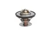 Термостат Thermotec D2G001TT (фото 1)
