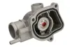 Термостат Thermotec D2M008TT (фото 2)