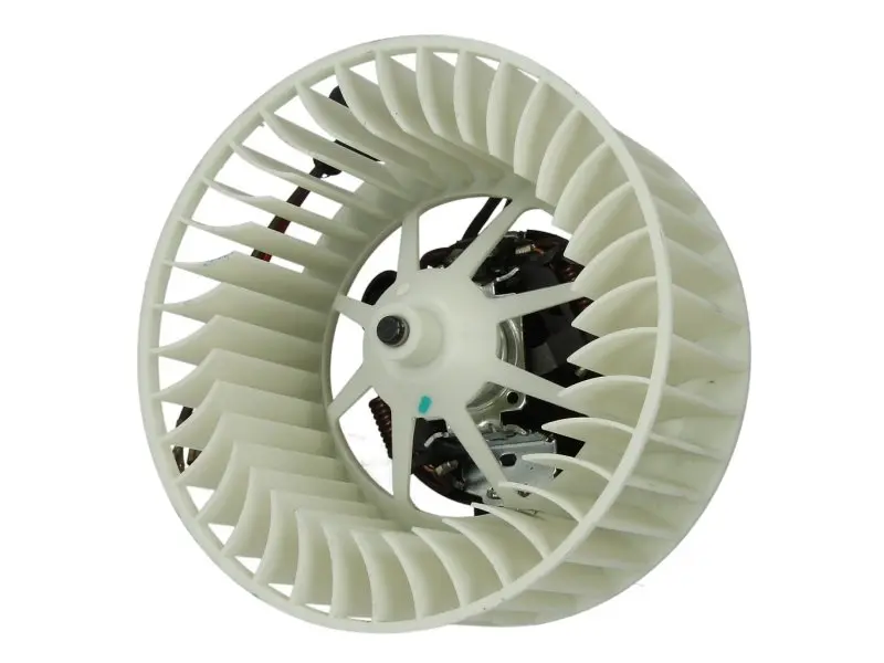 Вентилятор салону thermotec DDX004TT