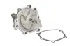 Водяная помпа (насос) thermotec D18006TT