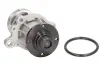 Водяная помпа (насос) thermotec D1B016TT