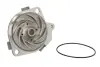 Водяная помпа (насос) thermotec D1F035TT