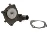 Водяная помпа (насос) thermotec D1G022TT
