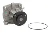 Водяная помпа (насос) thermotec D1G042TT