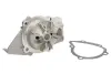 Водяная помпа (насос) thermotec D1P000TT