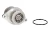 Водяная помпа (насос) thermotec D1W044TT