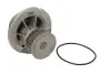 Водяная помпа (насос) thermotec D1X041TT