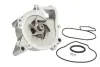 Водяная помпа (насос) thermotec D1X052TT
