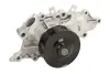Водяная помпа (насос) thermotec D1Y078TT