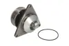 Водяная помпа (насос) thermotec WPCM102