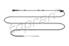 Джгут дротів (2500мм, кількість контактів: 2, із штекером) AUDI A3 SEAT LEON, TOLEDO II SKODA OCTAVIA I, OCTAVIA I/KOMBI, OCTAVIA II VW BORA, BORA I, GOLF IV, NEW BEETLE 1.2-3.2 09.96-12.13 Topran (Hans Pries) 120862 (фото 1)